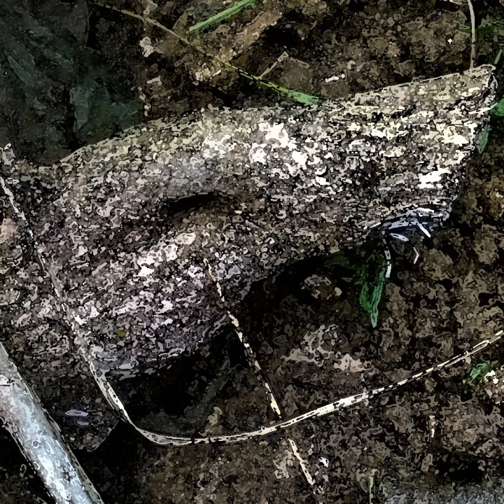 innererordnungsdienstfluch