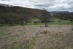 sichternsicht