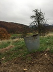 kesseltreiben