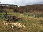 westlich