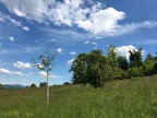 nuba nordöstlich