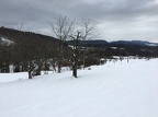 nordöstlich